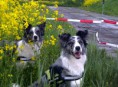 /album/fotogallerij/gorinhem-05-05-34-jpg/